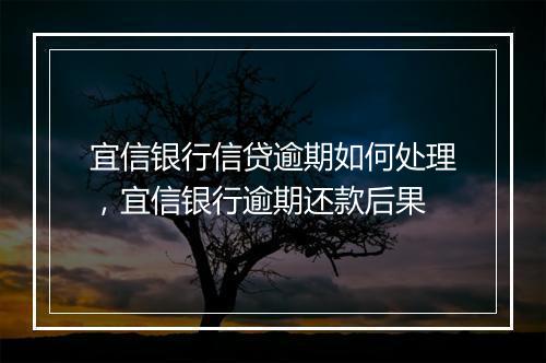 宜信银行信贷逾期如何处理，宜信银行逾期还款后果