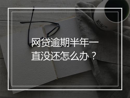 网贷逾期半年一直没还怎么办？