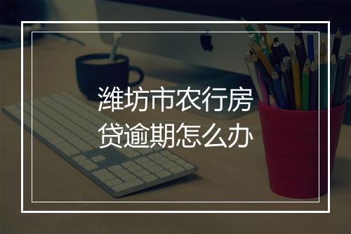 潍坊市农行房贷逾期怎么办