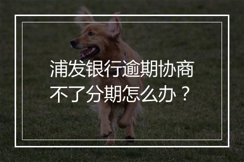 浦发银行逾期协商不了分期怎么办？