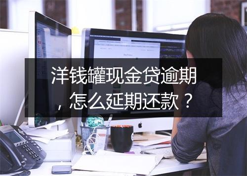 洋钱罐现金贷逾期，怎么延期还款？