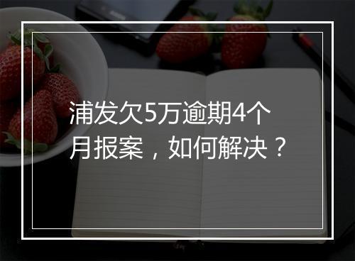 浦发欠5万逾期4个月报案，如何解决？