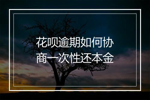 花呗逾期如何协商一次性还本金