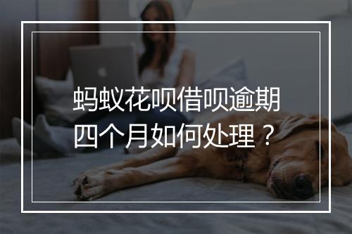 蚂蚁花呗借呗逾期四个月如何处理？