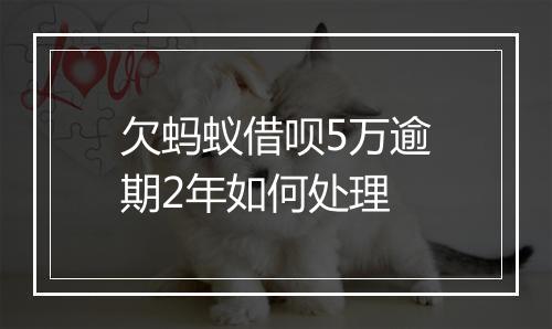 欠蚂蚁借呗5万逾期2年如何处理