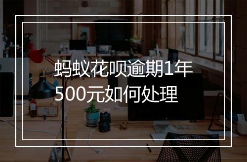 蚂蚁花呗逾期1年500元如何处理