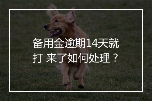 备用金逾期14天就打 来了如何处理？