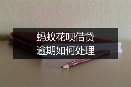 蚂蚁花呗借贷逾期如何处理