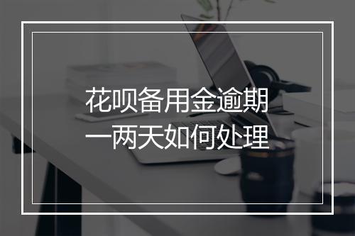 花呗备用金逾期一两天如何处理