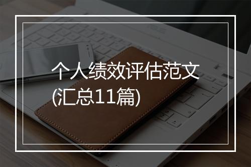 个人绩效评估范文(汇总11篇)