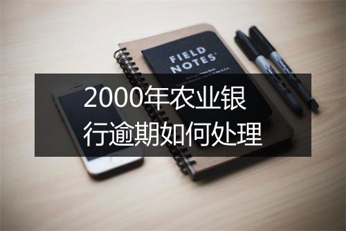 2000年农业银行逾期如何处理