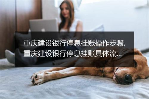 重庆建设银行停息挂账操作步骤,重庆建设银行停息挂账具体流程