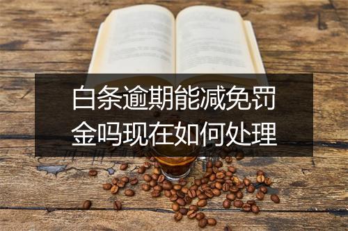 白条逾期能减免罚金吗现在如何处理