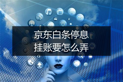 京东白条停息挂账要怎么弄