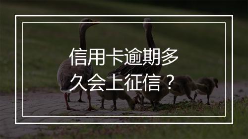 信用卡逾期多久会上征信？