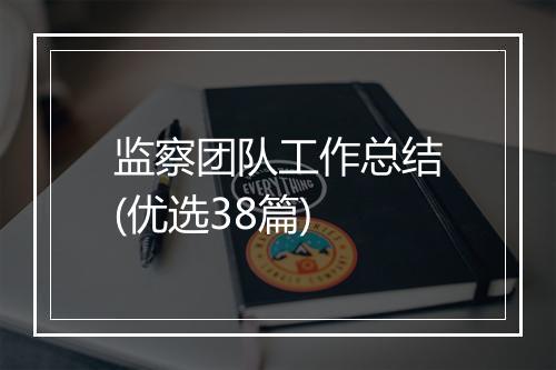 监察团队工作总结(优选38篇)