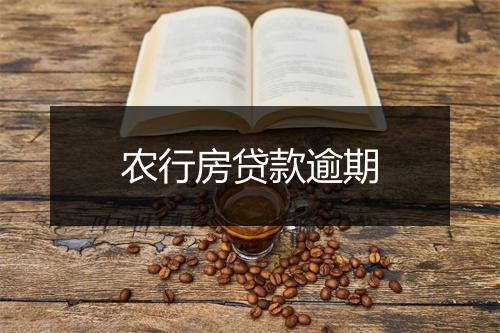 农行房贷款逾期