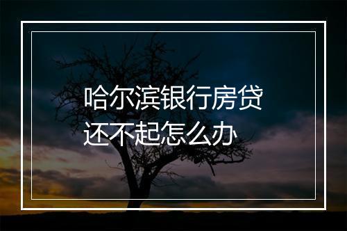 哈尔滨银行房贷还不起怎么办
