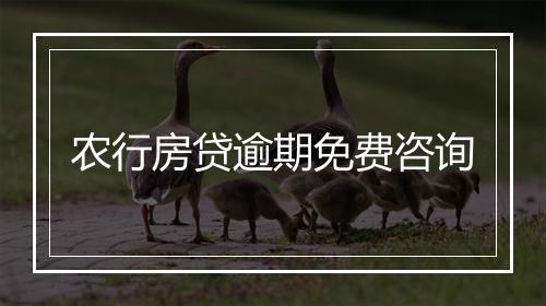 农行房贷逾期免费咨询