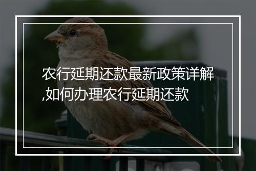 农行延期还款最新政策详解,如何办理农行延期还款
