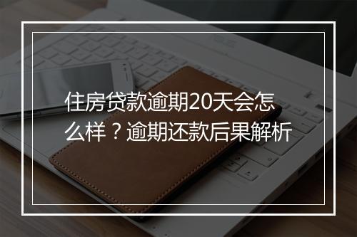 住房贷款逾期20天会怎么样？逾期还款后果解析