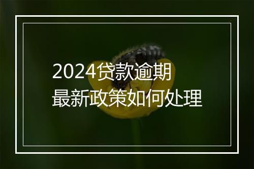 2024贷款逾期最新政策如何处理