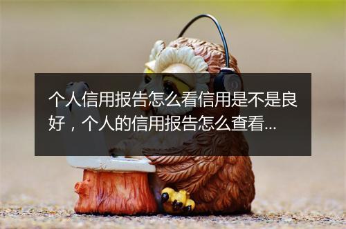 个人信用报告怎么看信用是不是良好，个人的信用报告怎么查看是否良好