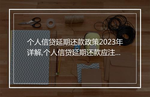 个人信贷延期还款政策2023年详解,个人信贷延期还款应注意的事项