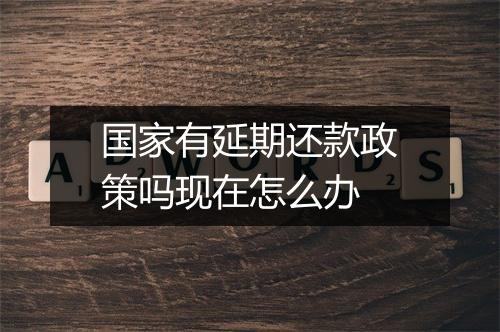 国家有延期还款政策吗现在怎么办