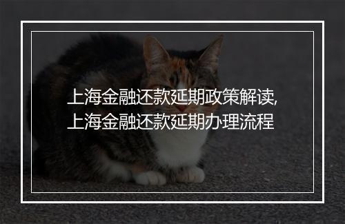 上海金融还款延期政策解读,上海金融还款延期办理流程