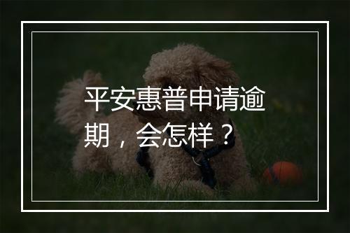 平安惠普申请逾期，会怎样？