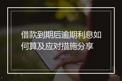 借款到期后逾期利息如何算及应对措施分享