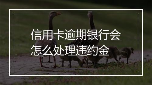信用卡逾期银行会怎么处理违约金