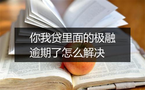 你我贷里面的极融逾期了怎么解决