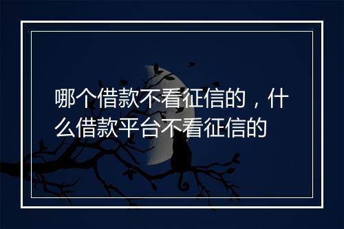 哪个借款不看征信的，什么借款平台不看征信的