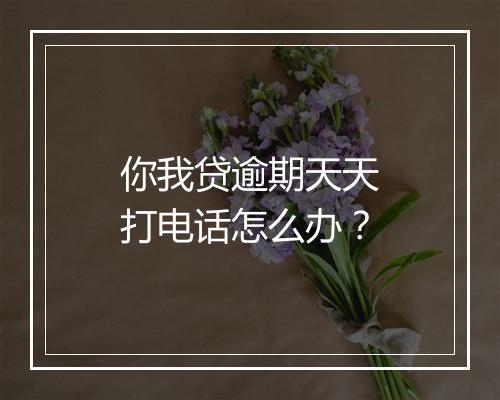 你我贷逾期天天打电话怎么办？