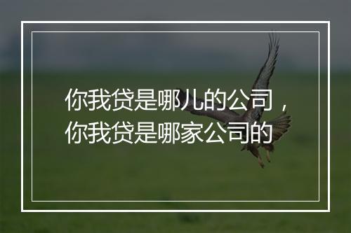 你我贷是哪儿的公司，你我贷是哪家公司的