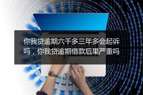 你我贷逾期六千多三年多会起诉吗，你我贷逾期借款后果严重吗