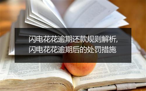 闪电花花逾期还款规则解析,闪电花花逾期后的处罚措施