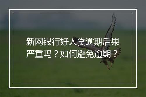 新网银行好人贷逾期后果严重吗？如何避免逾期？