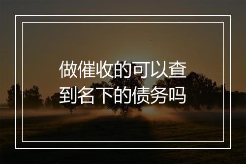 做催收的可以查到名下的债务吗