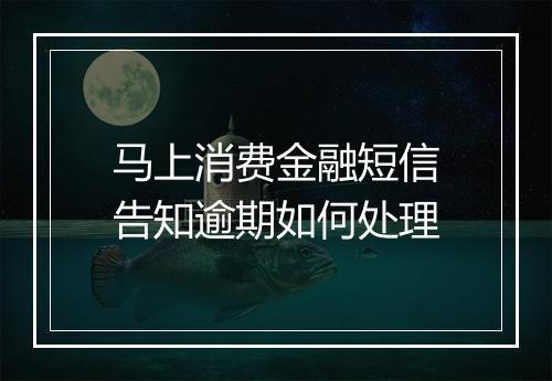 马上消费金融短信告知逾期如何处理