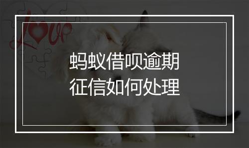 蚂蚁借呗逾期征信如何处理