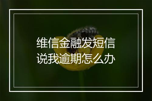 维信金融发短信说我逾期怎么办
