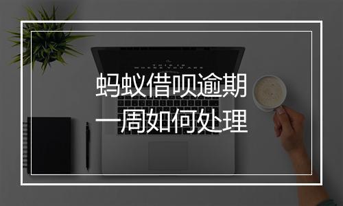 蚂蚁借呗逾期一周如何处理