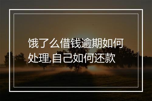 饿了么借钱逾期如何处理,自己如何还款