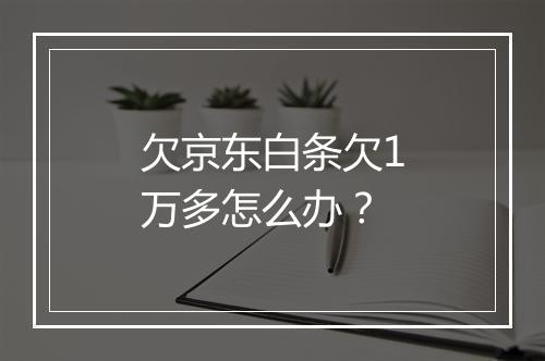 欠京东白条欠1万多怎么办？