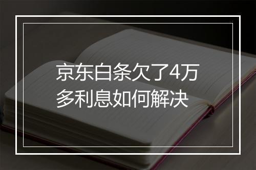 京东白条欠了4万多利息如何解决