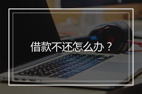 借款不还怎么办？