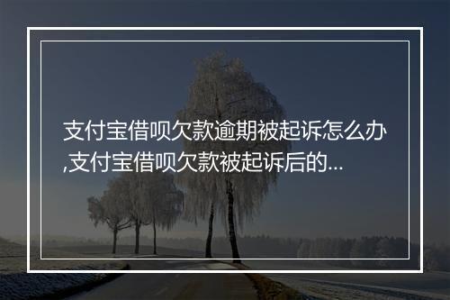 支付宝借呗欠款逾期被起诉怎么办,支付宝借呗欠款被起诉后的处理